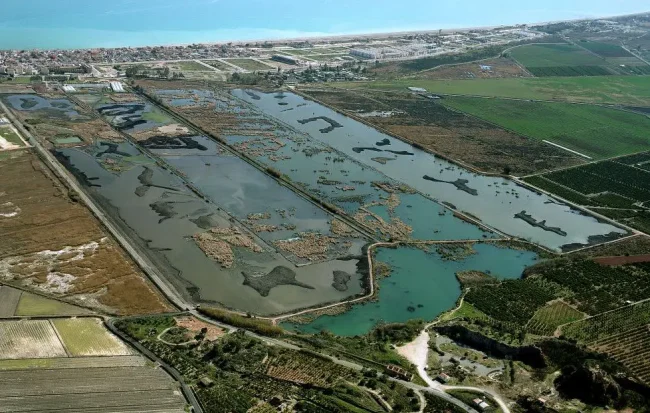 Adecuación Ambiental de «Els Estanys de Almenara»
