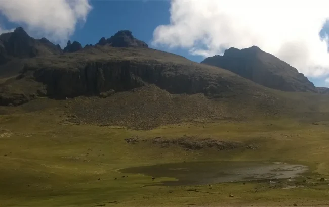 Instalación del Servicio de Agua de Sistema de Riego